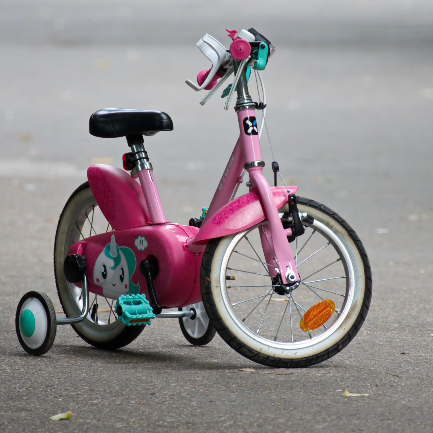 training-wheeled bike